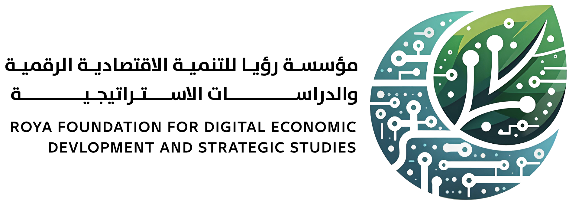 مؤسسة رويا للتنمية الاقتصادية الرقمية